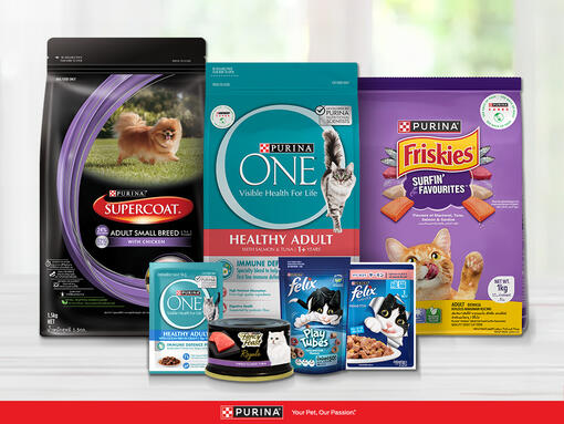 See All Our Cat Dog Food Brands Purina